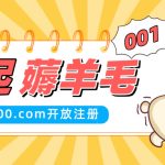 羊毛｜Serv00开放注册 懂不懂的先占坑儿